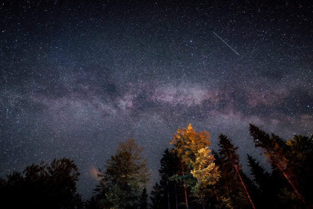 Night hiking: Everything you need to know!