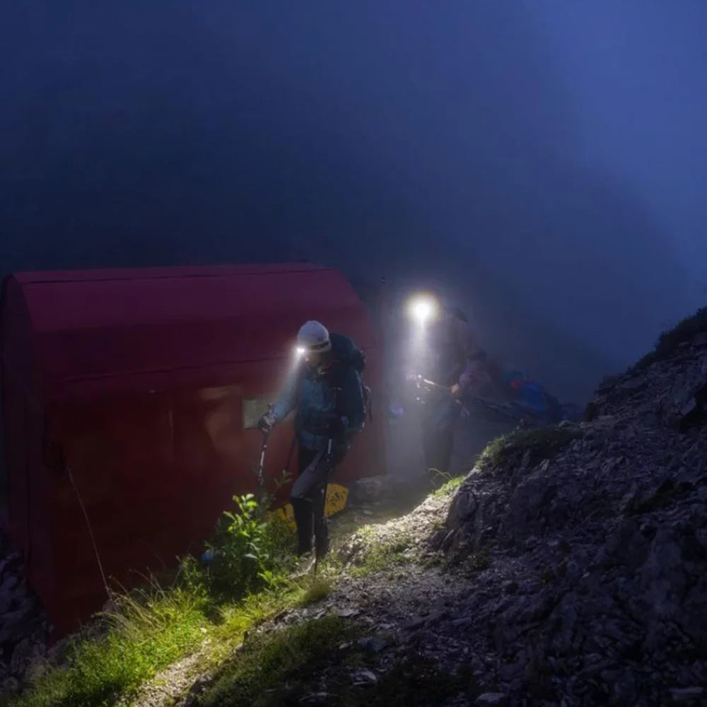 Petzl ACTIK®