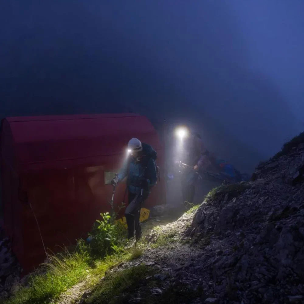 Petzl ACTIK®