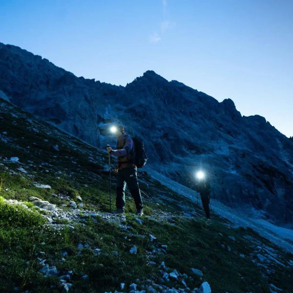 Petzl ACTIK®